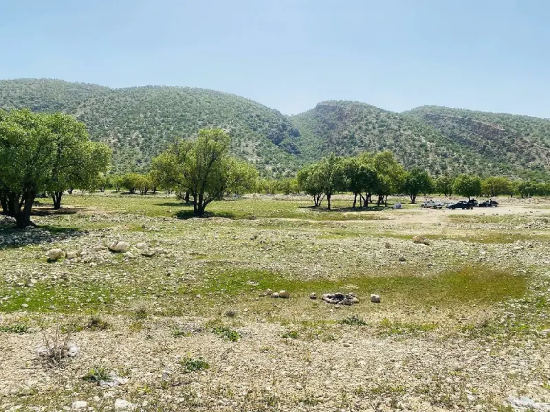 جنگل‌های بلوط استان فارس - تصویر 6