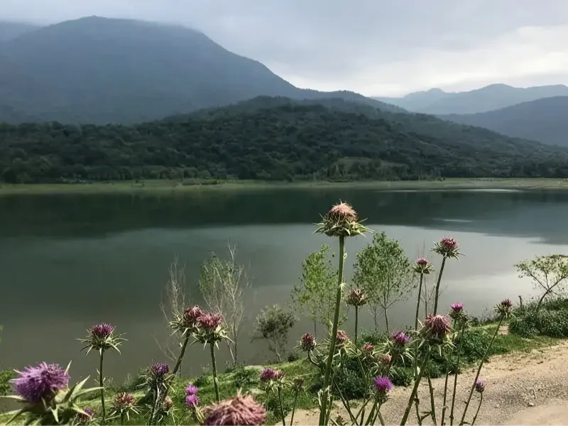 دریاچه سد زرین گل (کبودوال)