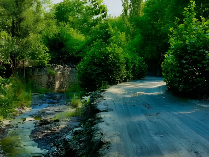 روستای کردینه