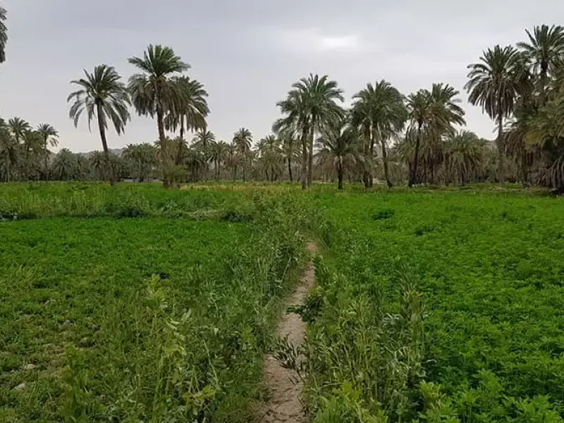 منطقه حفاظت‌شده گاندو - تصویر 4