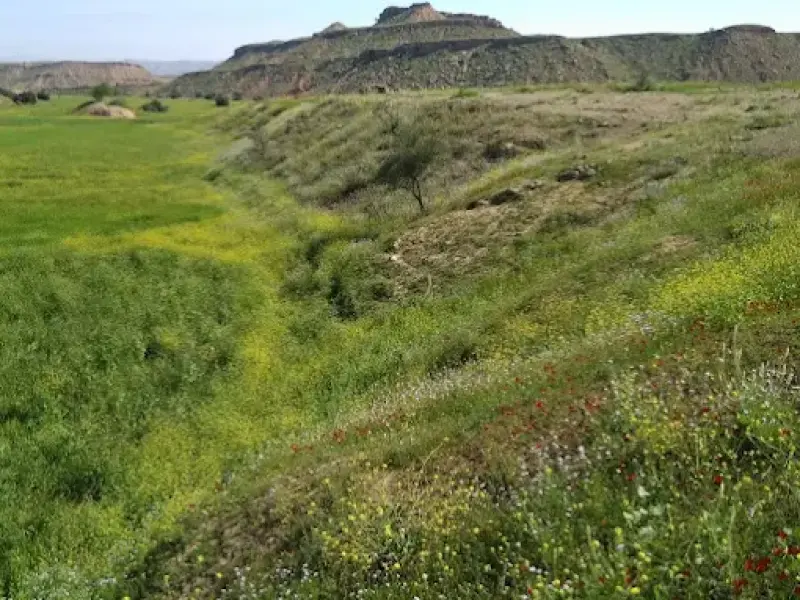 منطقه حفاظت‌شده کرایی - تصویر 1