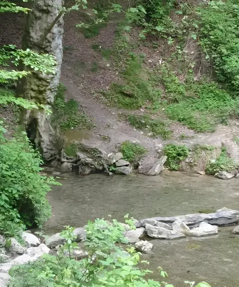 چشمه کلزر تقرتپه، گلستان