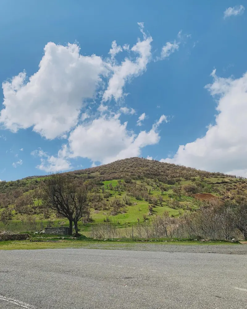 روستای نجنه‌علیا - تصویر 3