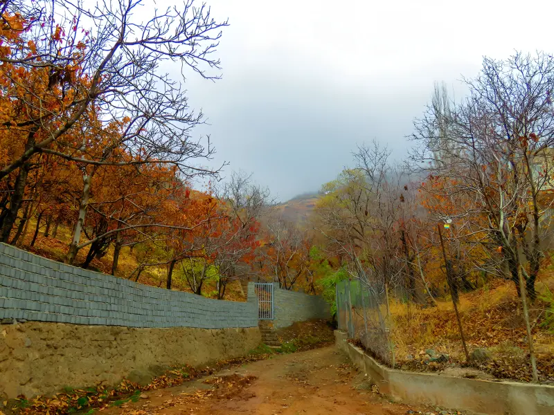 روستای کند علیا - تصویر 1