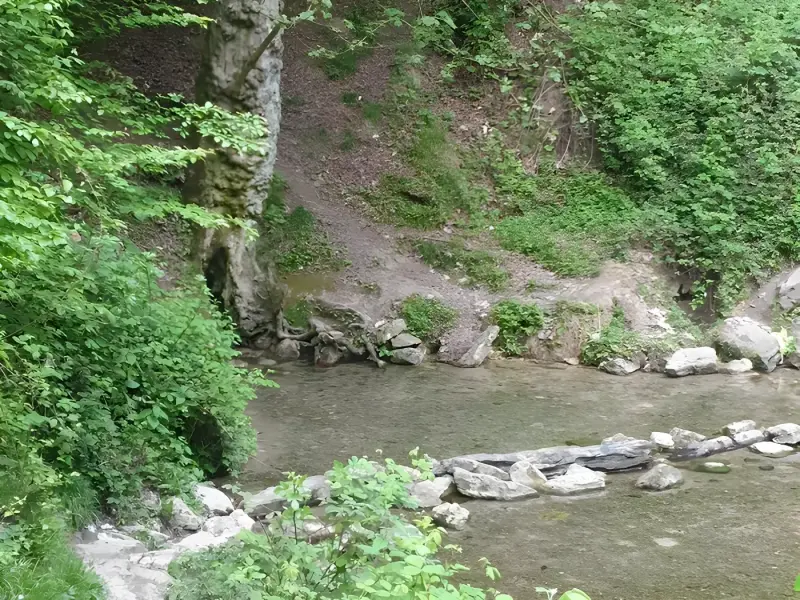 چشمه کلزر تقرتپه