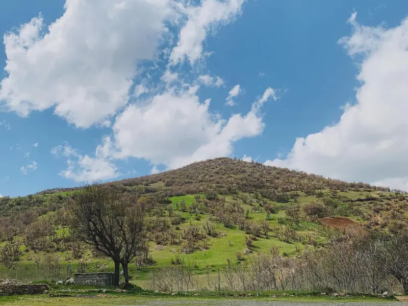 روستای نجنه‌علیا - تصویر 3