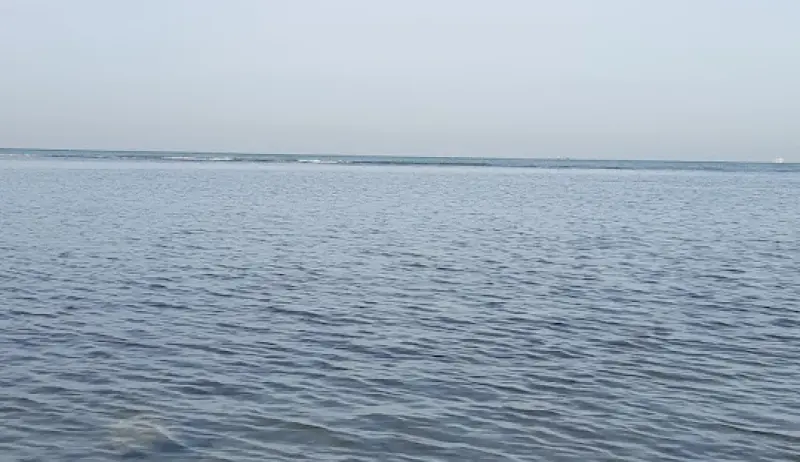 جزیره عباسک - تصویر 3