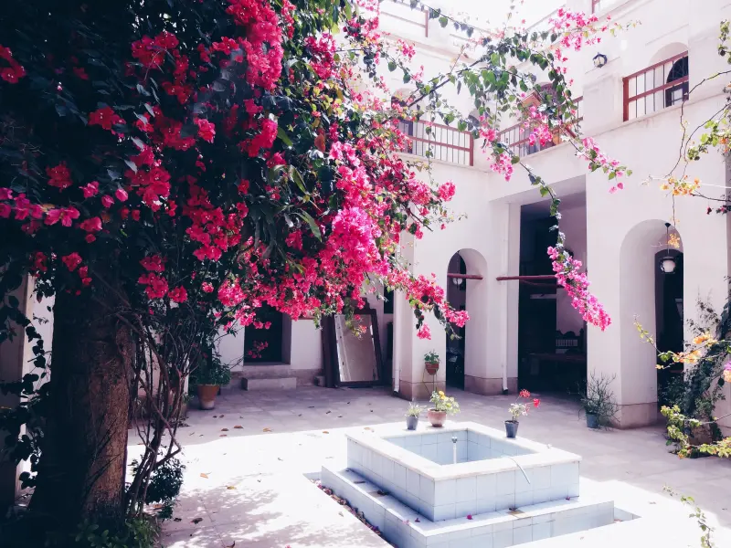 عمارت طبیب - تصویر 1
