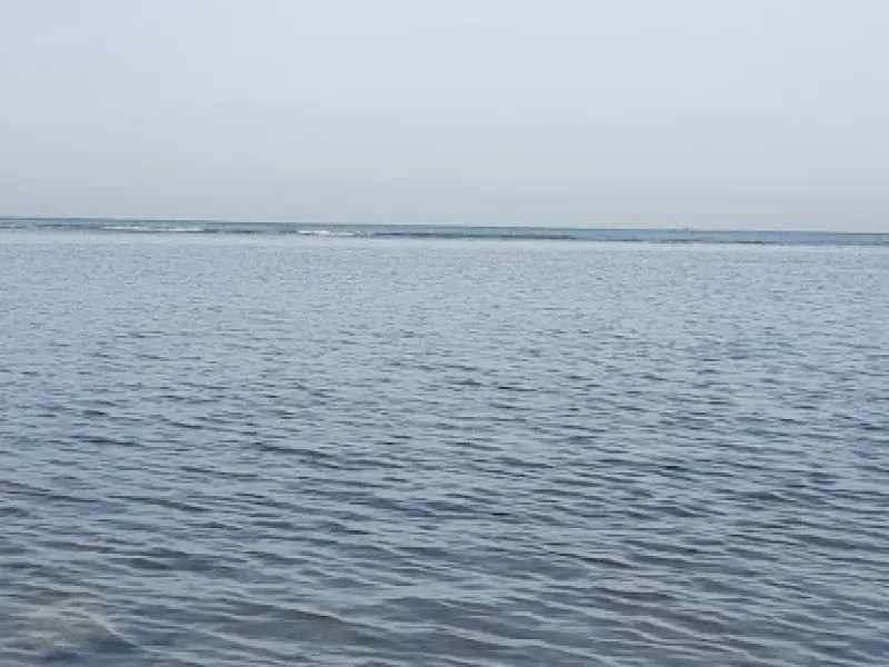 جزیره عباسک - تصویر 3