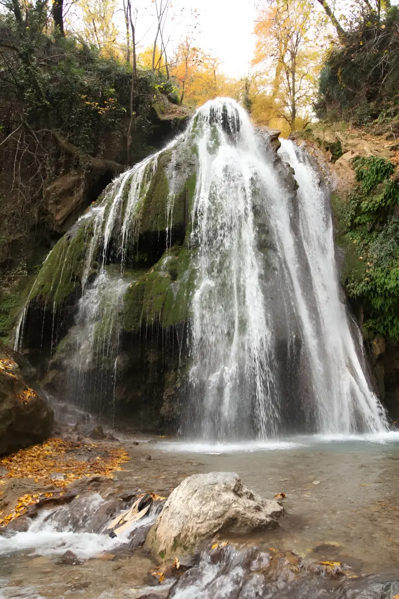 جنگل کبودوال - تصویر 5