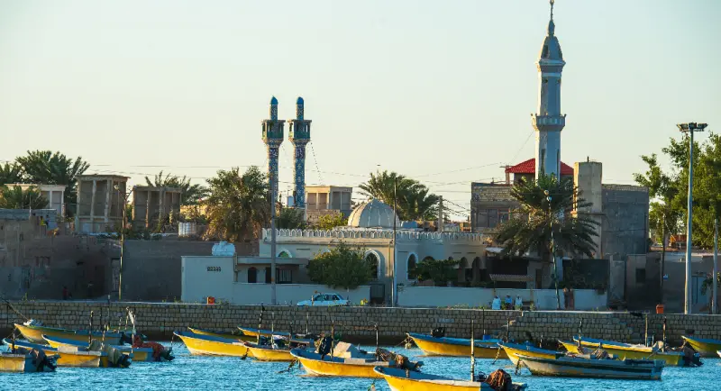 بندر کنگ - تصویر 10