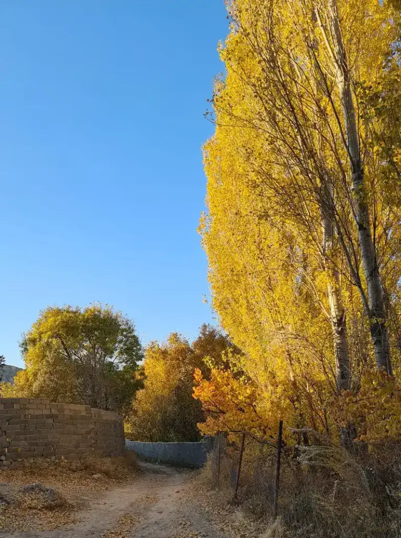 روستای هرانده - تصویر 9