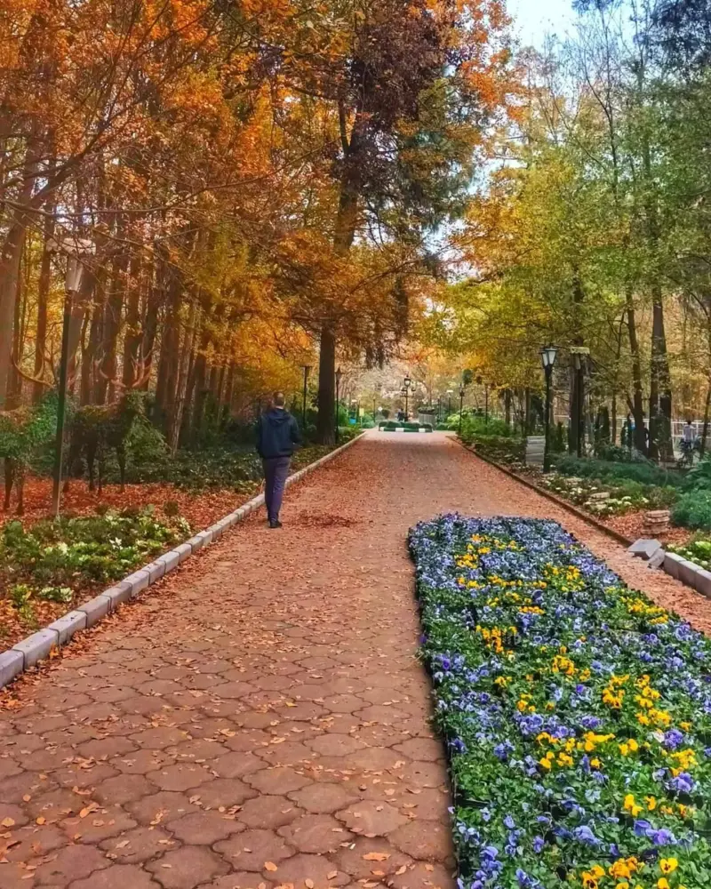 پارک مفاخر رشت - تصویر 10
