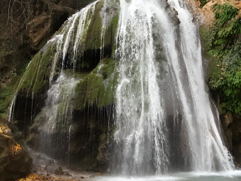 جنگل کبودوال - تصویر 5