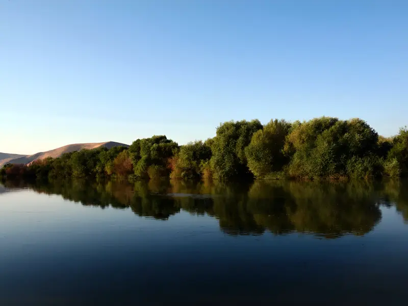 زرینه ‌رود
