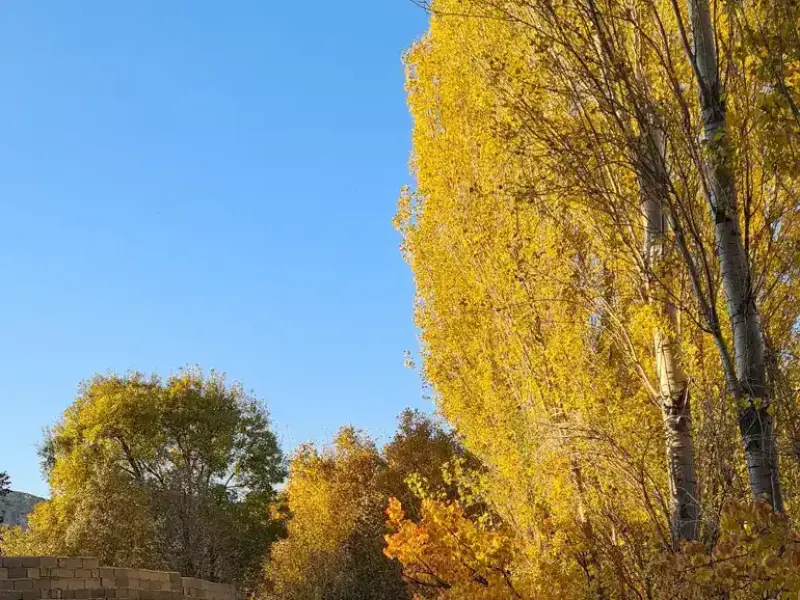 روستای هرانده - تصویر 9