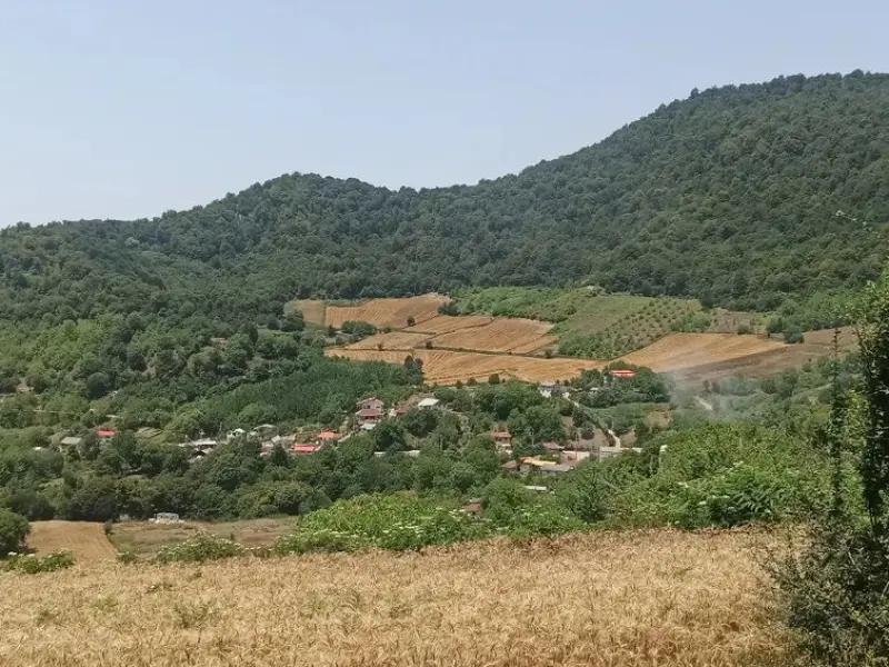 روستای وناجم - تصویر 3