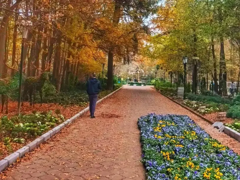 پارک مفاخر رشت - تصویر 10