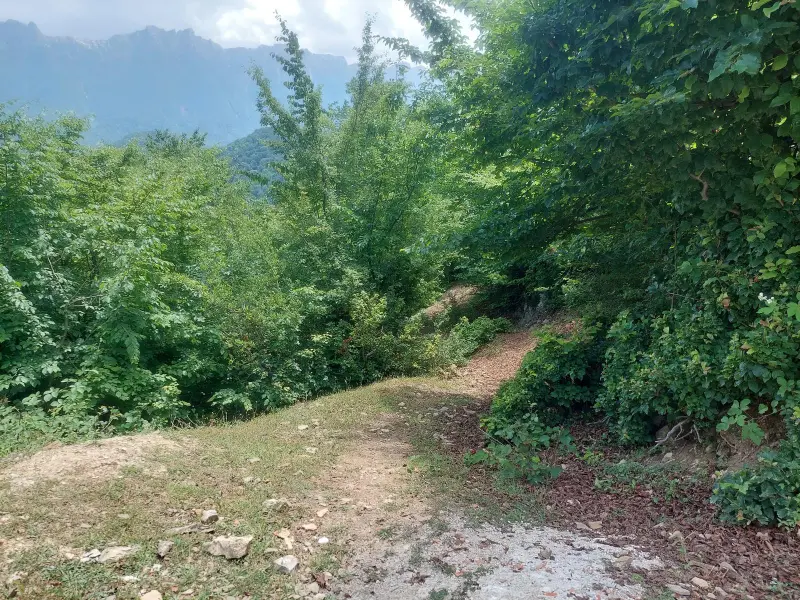 قله گوگلی - تصویر 5
