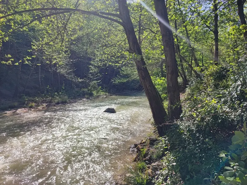 پارک جنگلی مهربان رود - تصویر 3