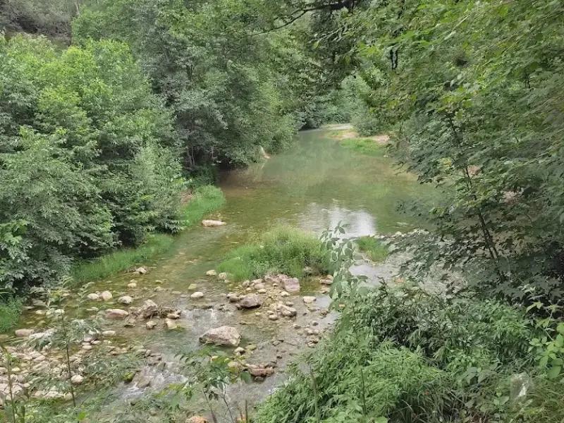 پارک جنگلی مهربان رود - تصویر 8