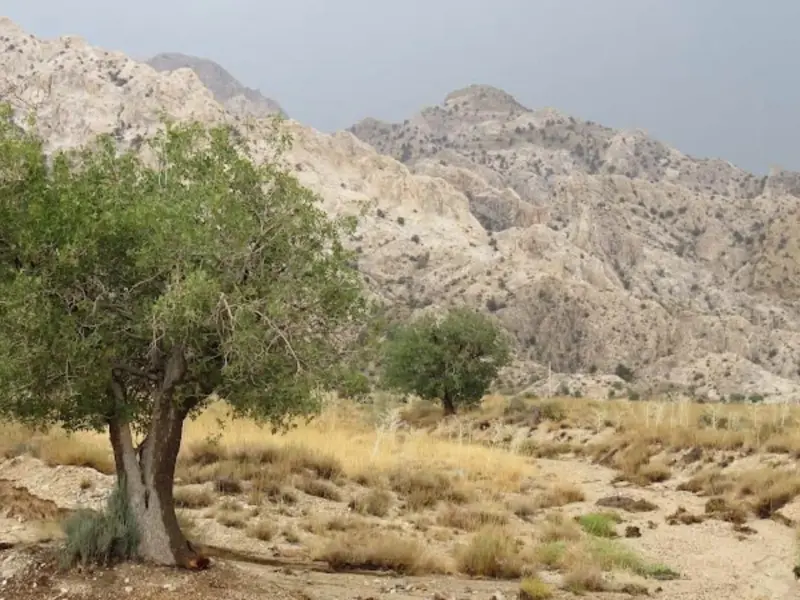 پناهگاه حیات‌وحش روچون - تصویر 1