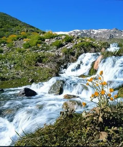 چشمه میشی، کهگیلویه وبویراحمد