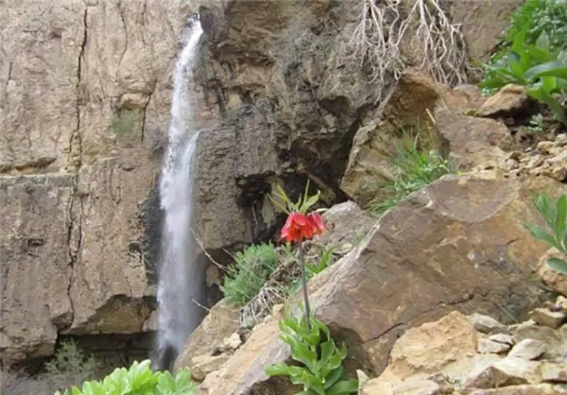 دشت راق - تصویر 1