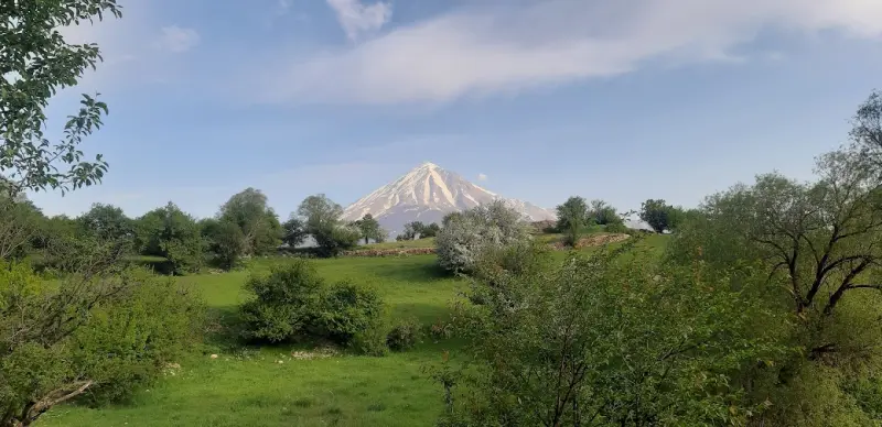 دشت آزو - تصویر 2
