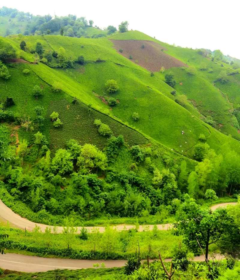 روستای سرچشمه - تصویر 4