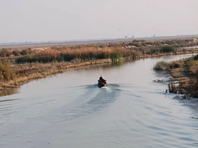 تالاب هورالعظیم - تصویر 4