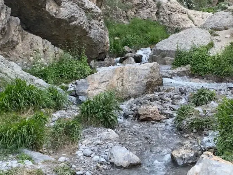 آبشار کوه گل - تصویر 5