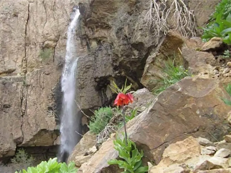 دشت راق - تصویر 1