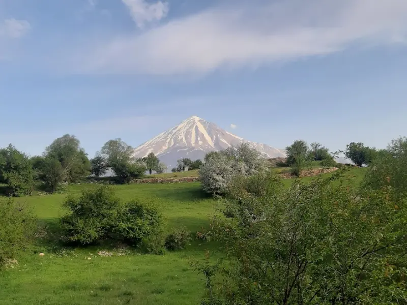 دشت آزو - تصویر 2