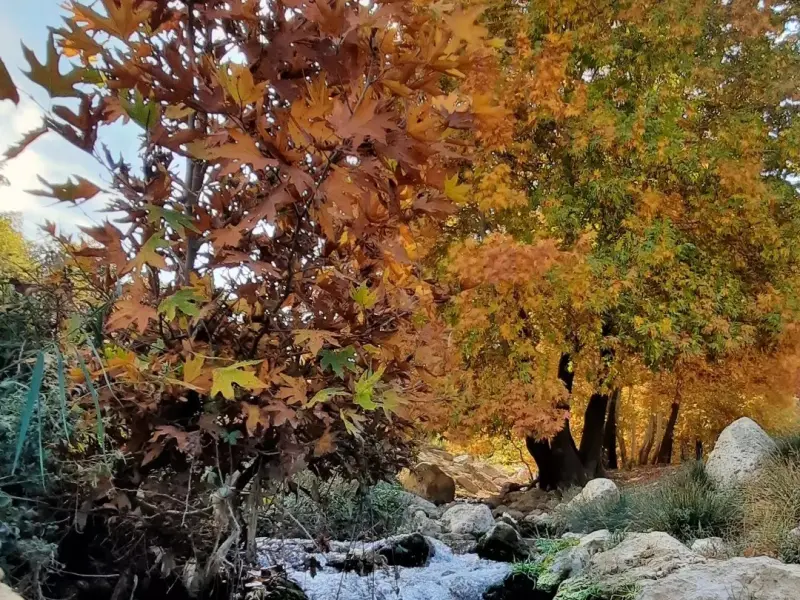 سراب کاشنبه - تصویر 3