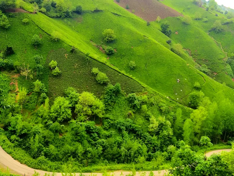 روستای سرچشمه - تصویر 4