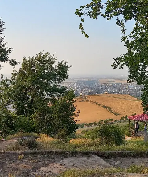 پارک زیتون تپه، گلستان