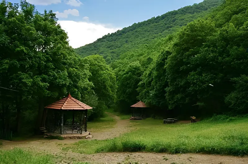 پارک جنگلی مکیدی - تصویر 2
