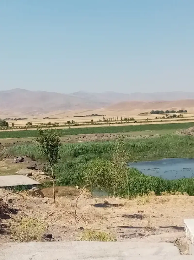 تالاب پيرسليمان - تصویر 6