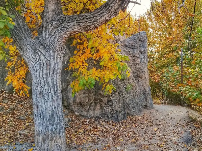 روستای کاهکش - تصویر 3