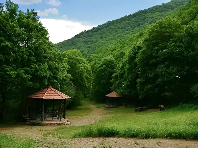 پارک جنگلی مکیدی - تصویر 2
