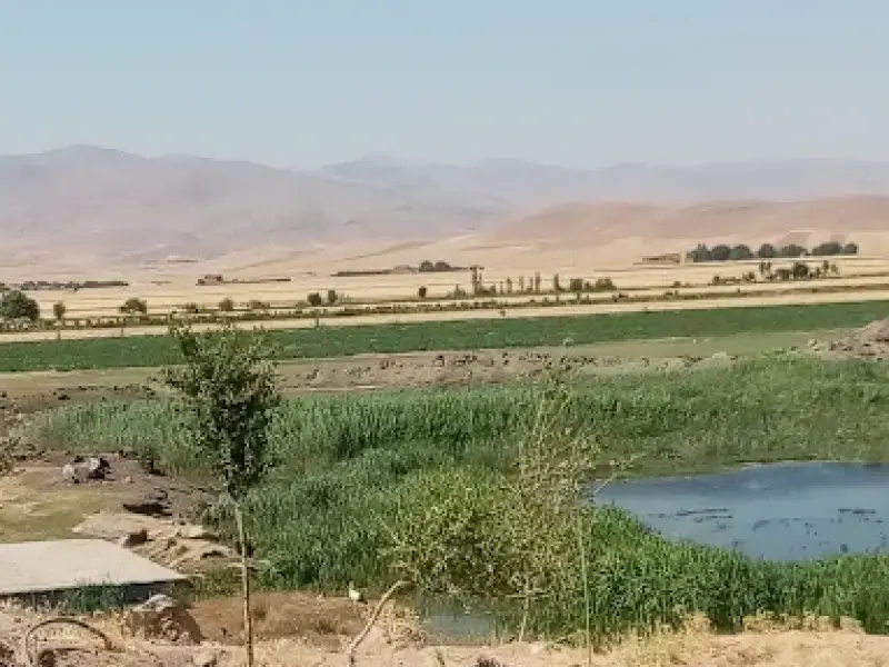 تالاب پيرسليمان - تصویر 6