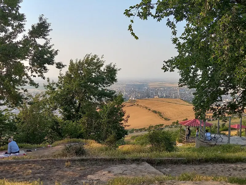 پارک زیتون تپه