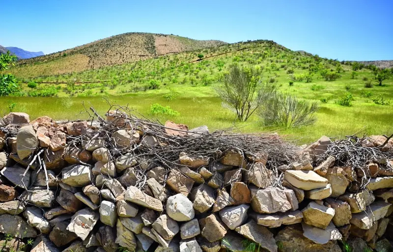 تنگ لای زنگان - تصویر 3