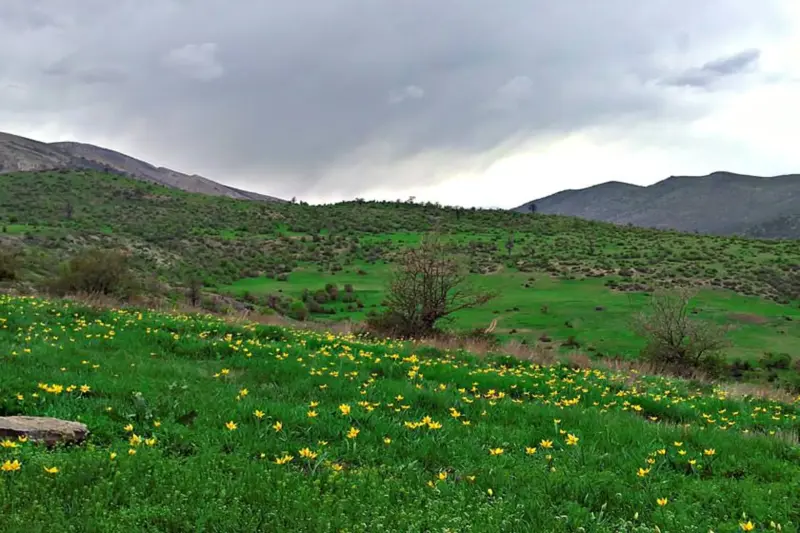روستای رودبارک بالا - تصویر 3