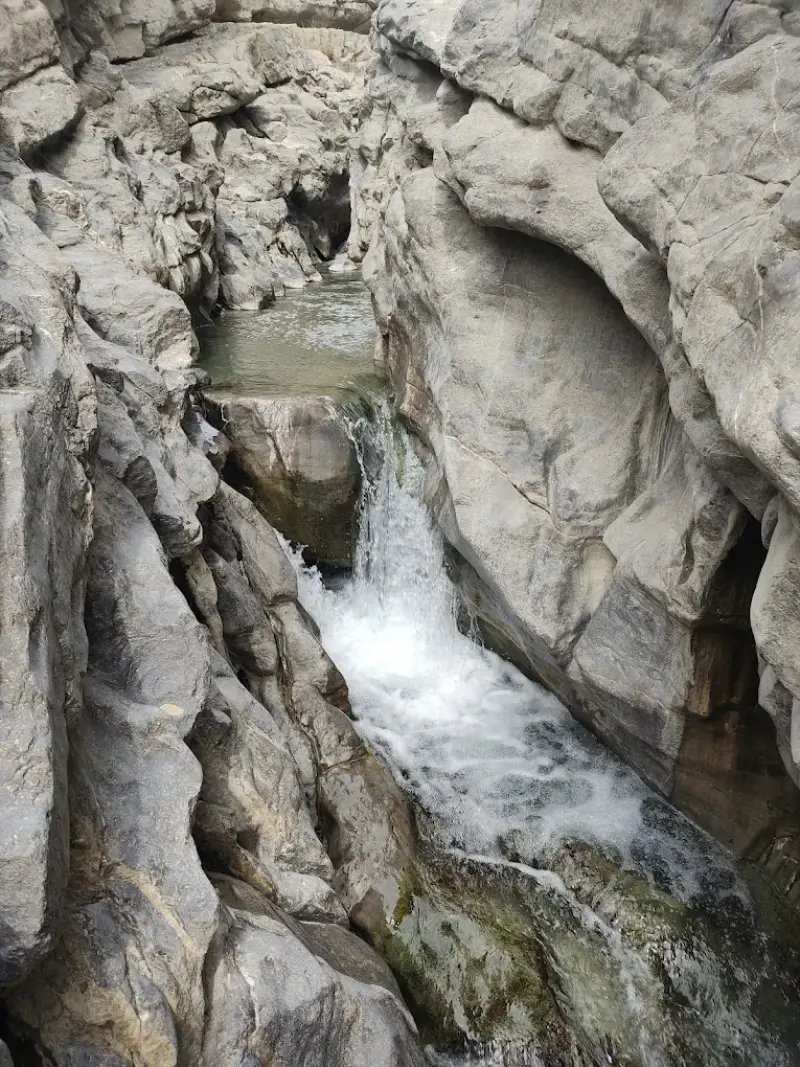 چشمه گاوگل - تصویر 8