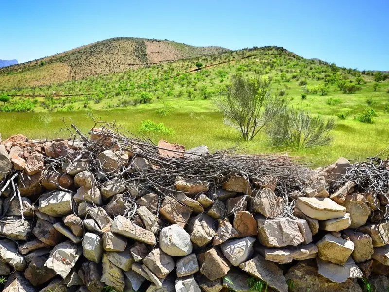 تنگ لای زنگان - تصویر 3
