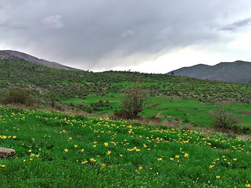 روستای رودبارک بالا - تصویر 3