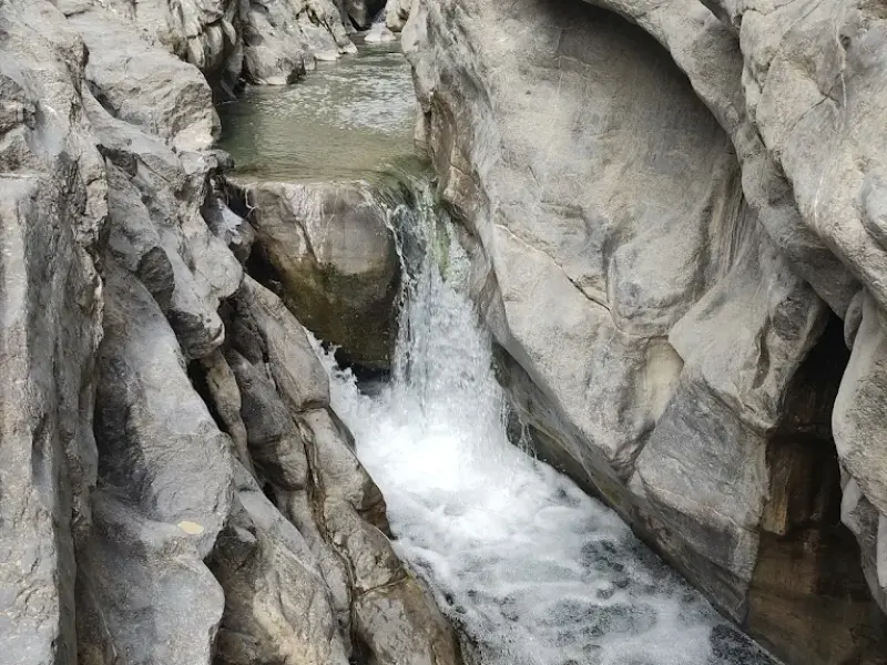 چشمه گاوگل - تصویر 8