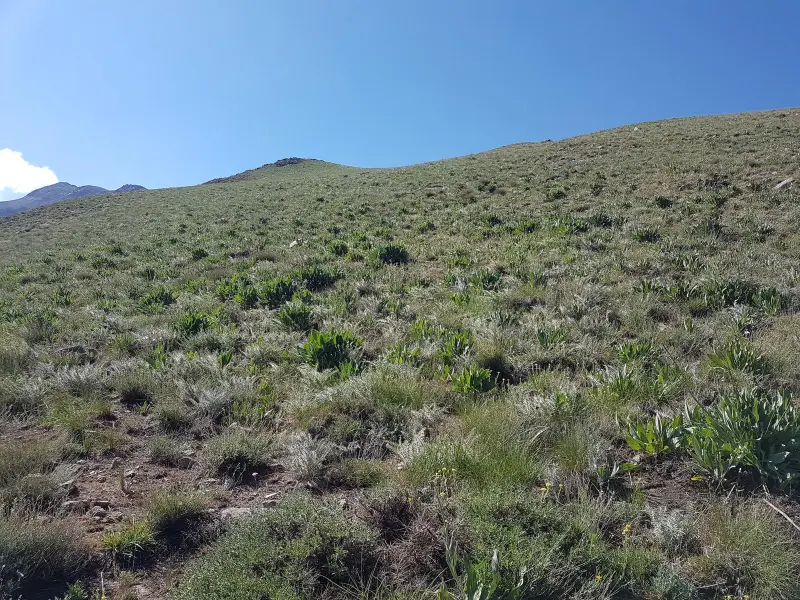 قله سکه نو - تصویر 6